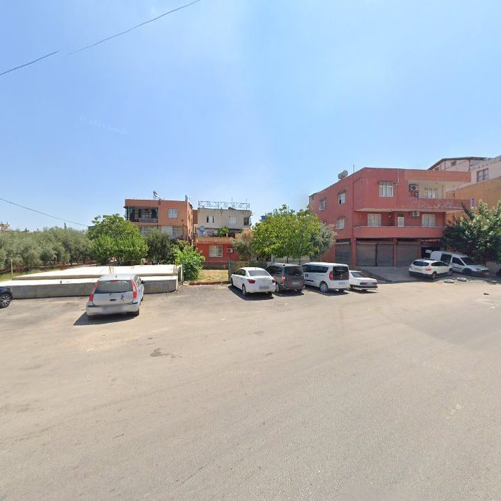 Fotoğraf 7