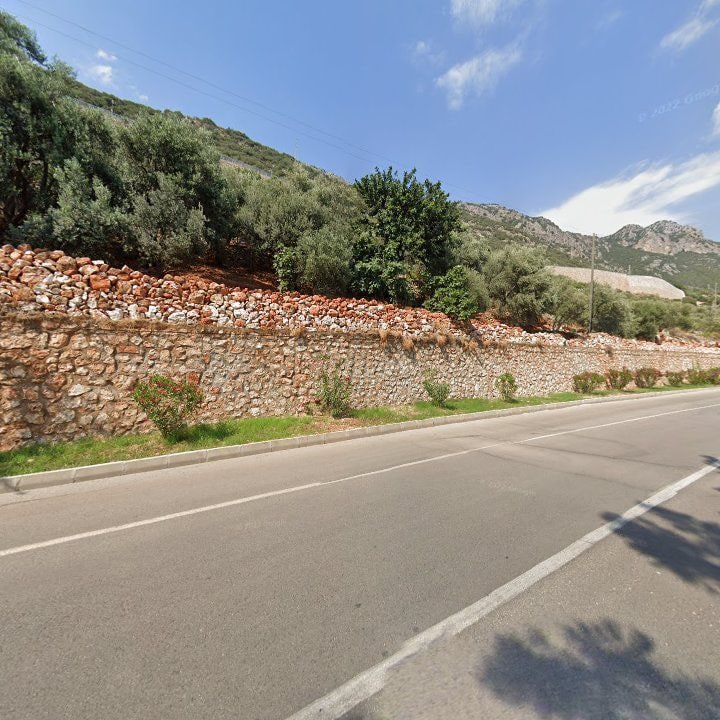 Fotoğraf 12