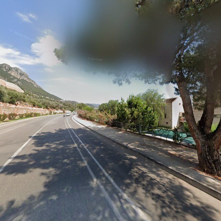 Fotoğraf 13