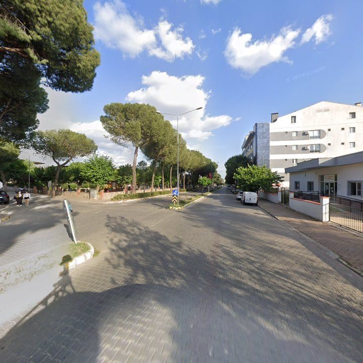 Fotoğraf 8