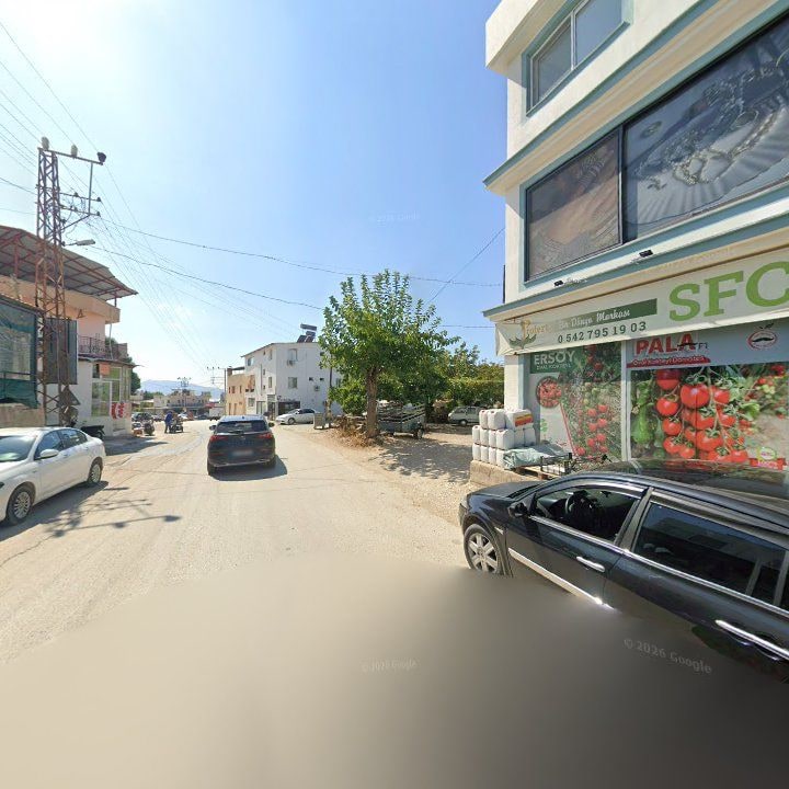 Fotoğraf 7