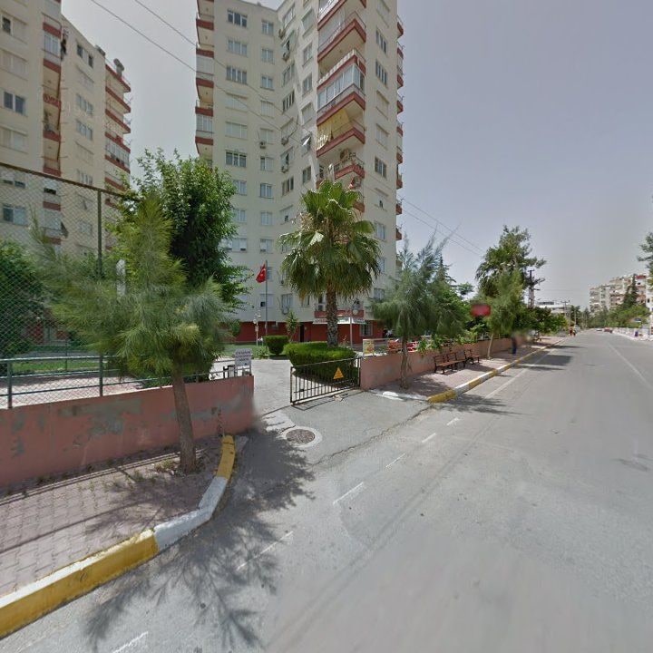 Fotoğraf 11