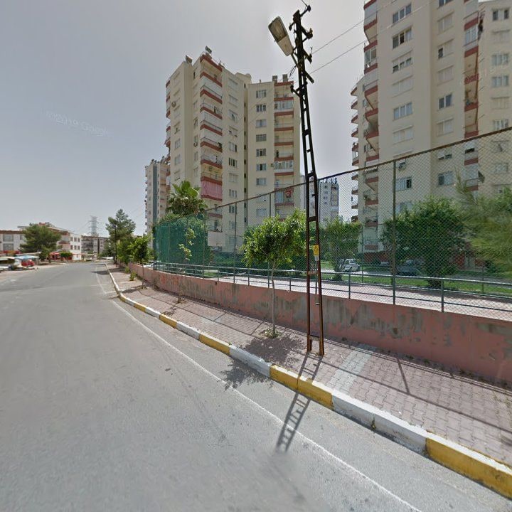 Fotoğraf 10
