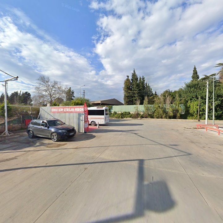 Fotoğraf 6