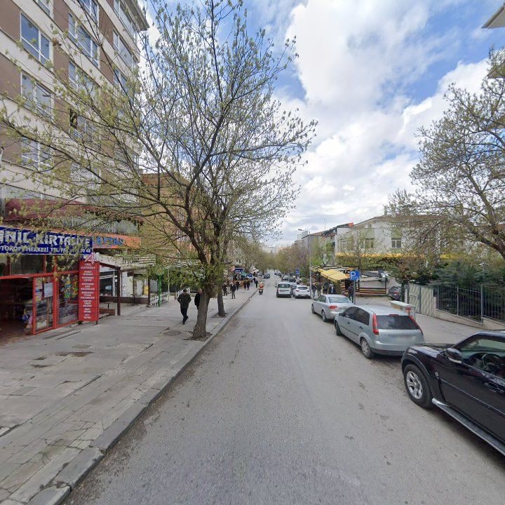 Fotoğraf 11