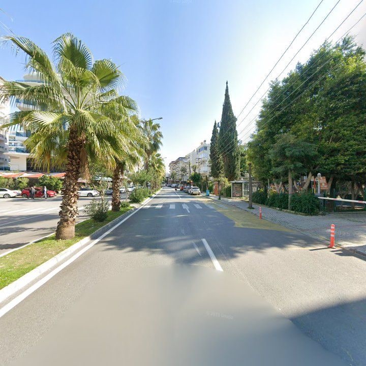 Fotoğraf 11