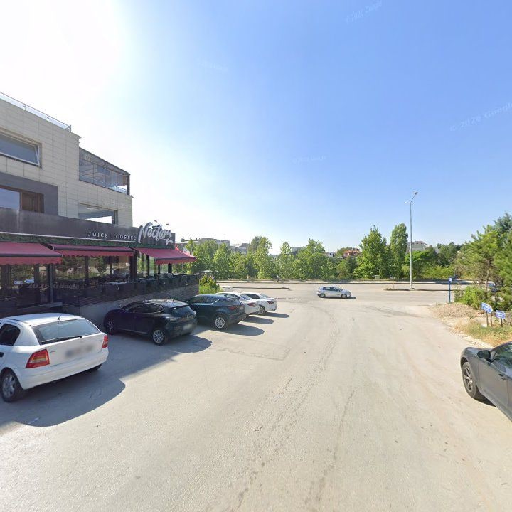 Fotoğraf 11