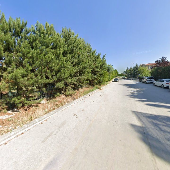 Fotoğraf 13
