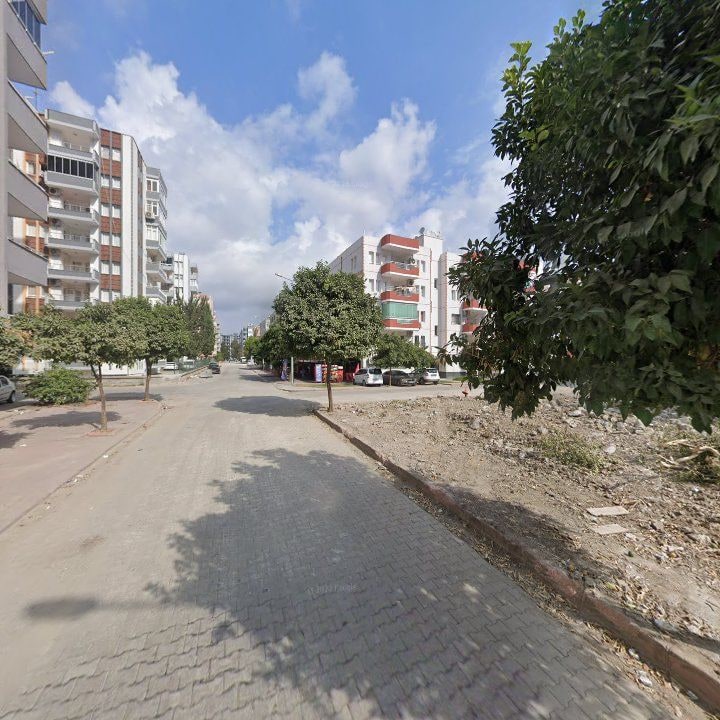 Fotoğraf 7