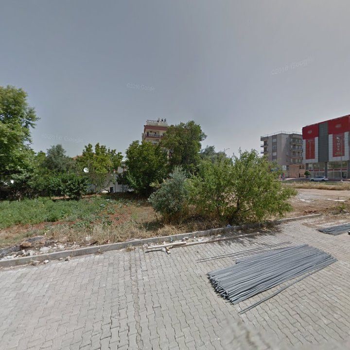 Fotoğraf 7