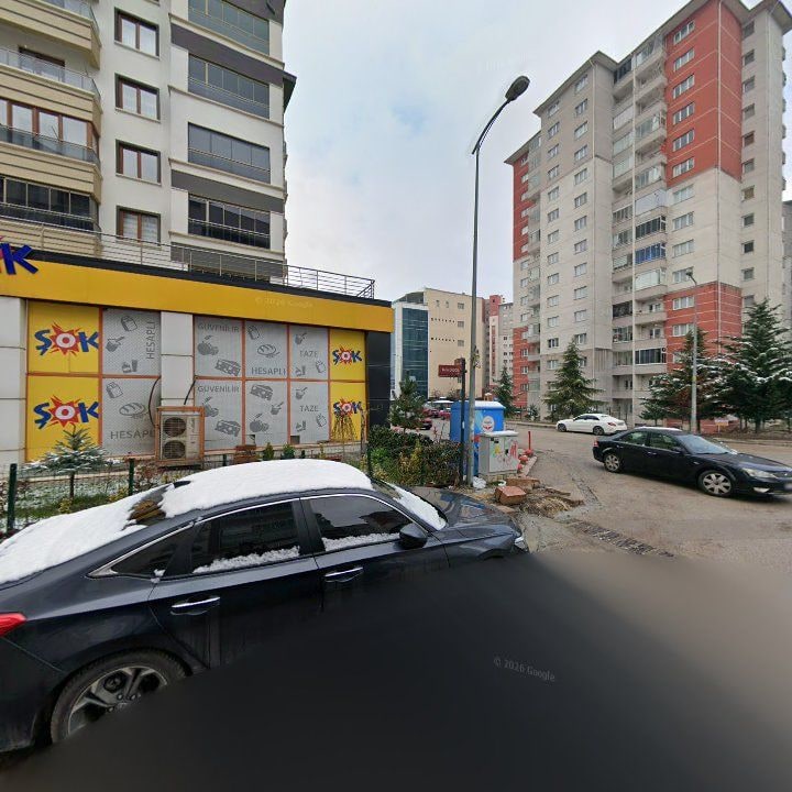 Fotoğraf 10