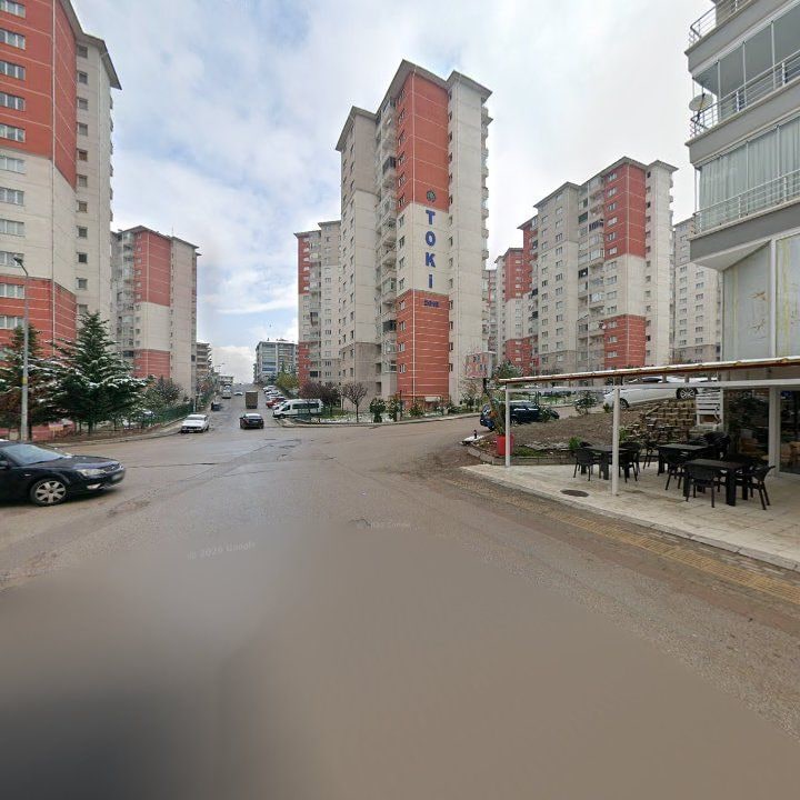 Fotoğraf 11