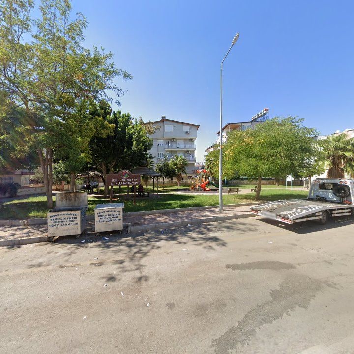 Fotoğraf 7