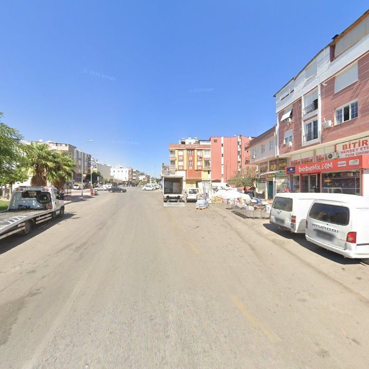 Fotoğraf 8