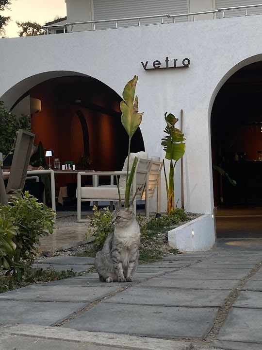 Vetro Wine House Didim