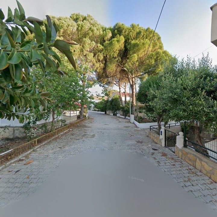 Fotoğraf 10