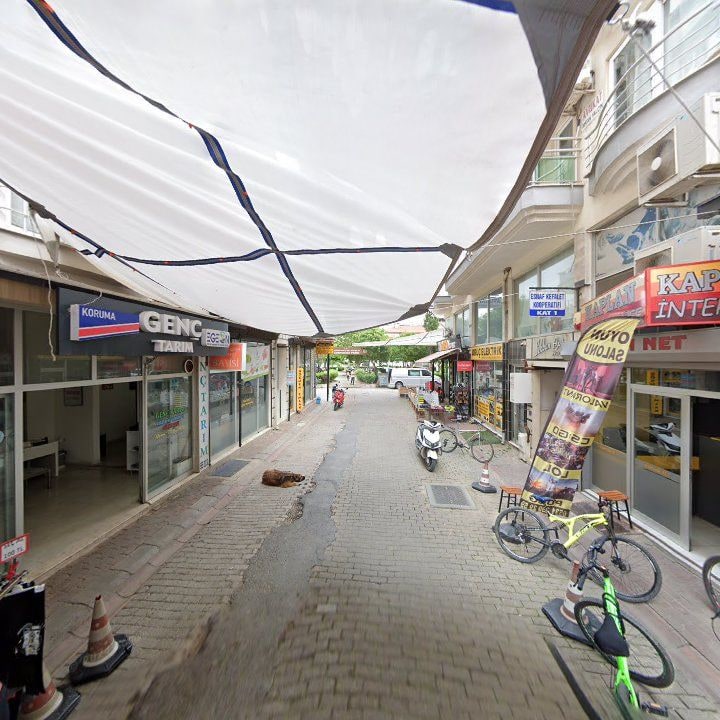 Fotoğraf 8