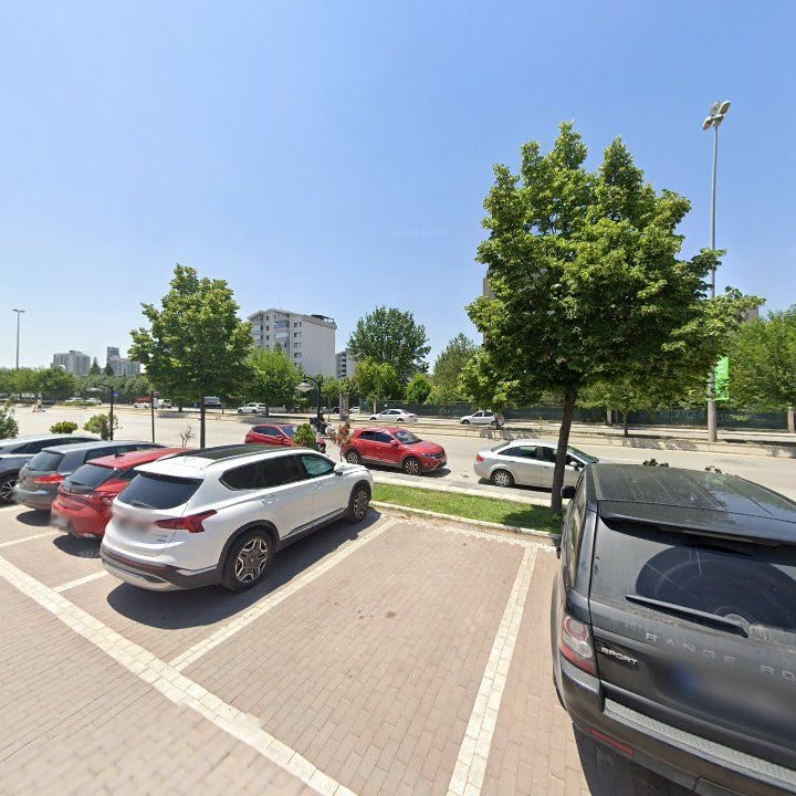 Fotoğraf 14