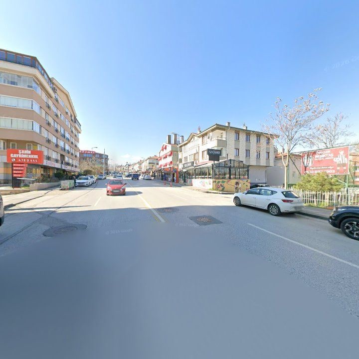 Fotoğraf 10