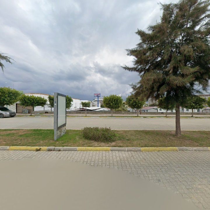 Fotoğraf 12