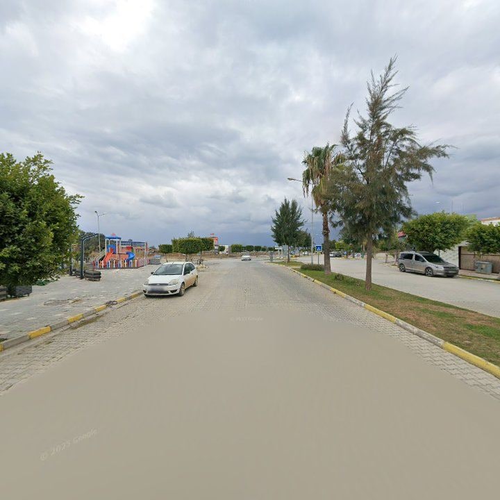 Fotoğraf 11