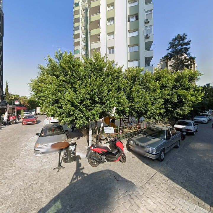 Fotoğraf 7