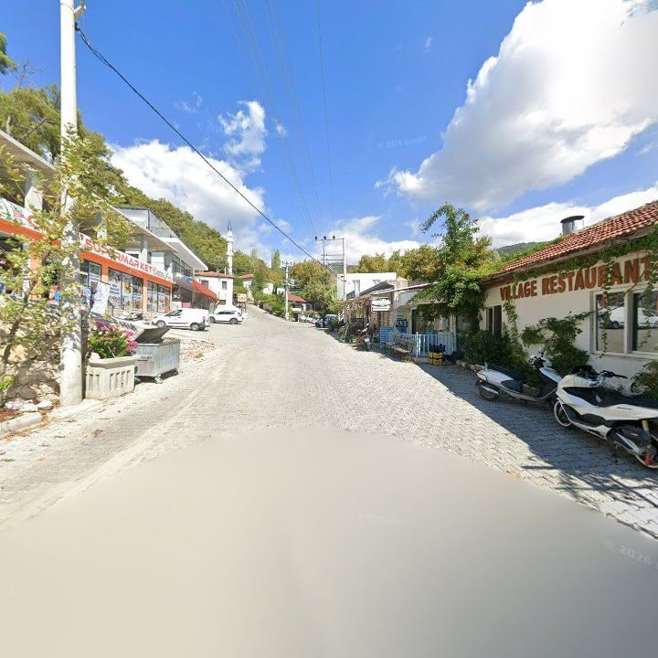 Fotoğraf 10