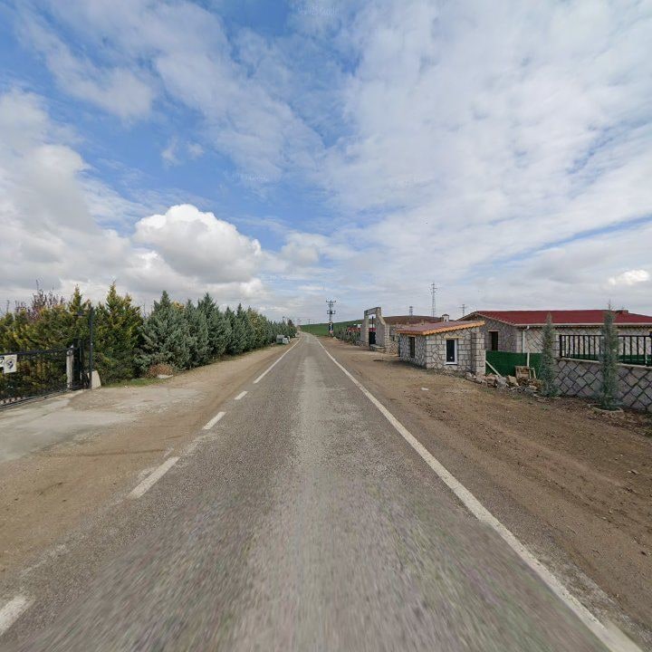 Fotoğraf 8