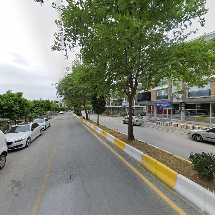 Fotoğraf 12