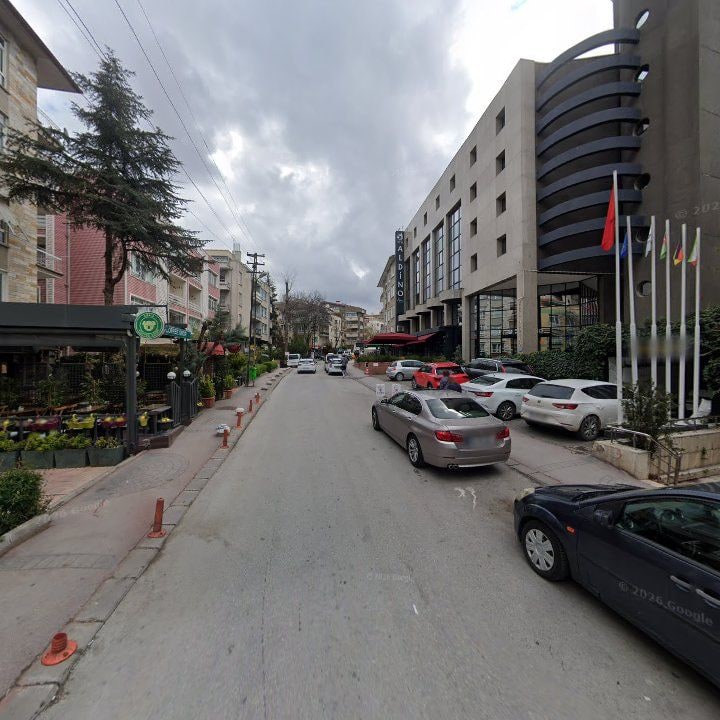 Fotoğraf 12