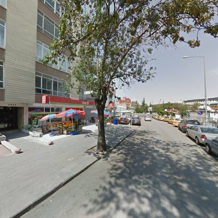 Fotoğraf 15