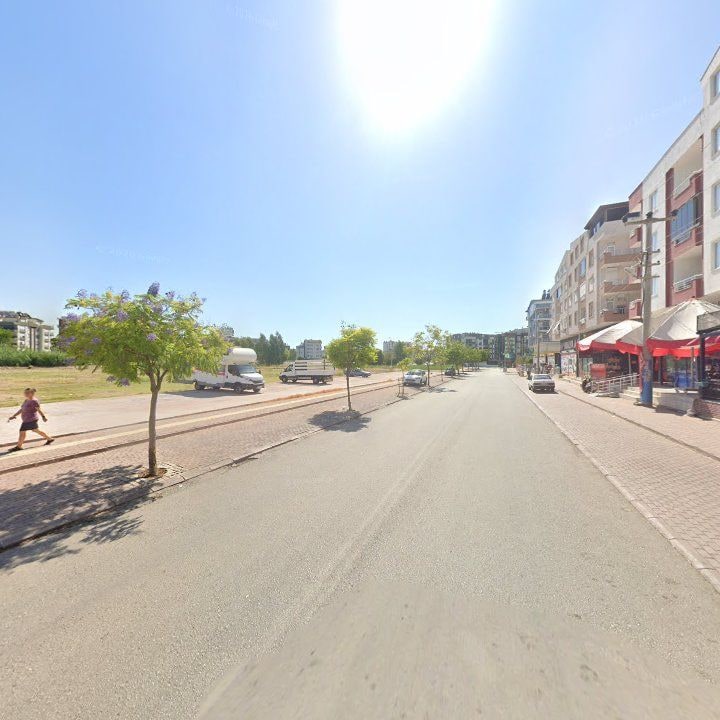 Fotoğraf 11