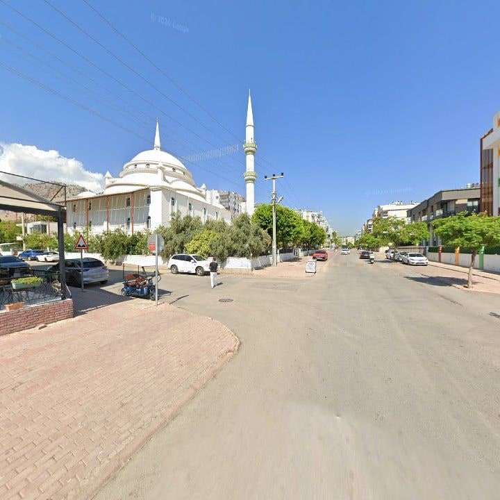 Fotoğraf 9