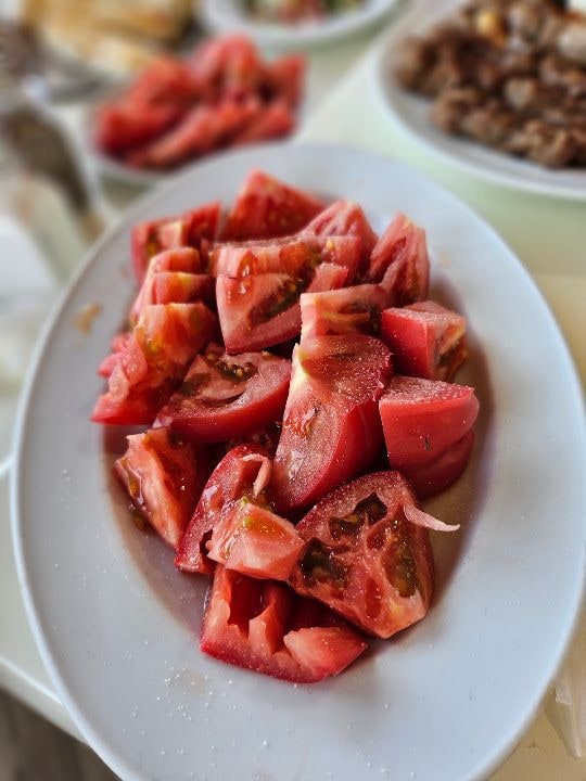 Fotoğraf 13
