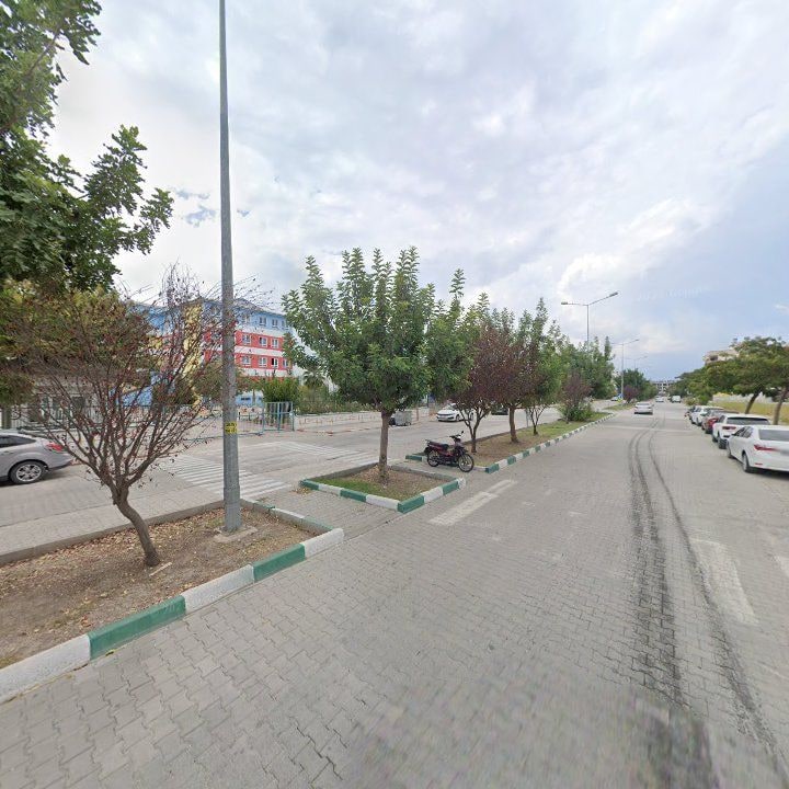 Fotoğraf 10