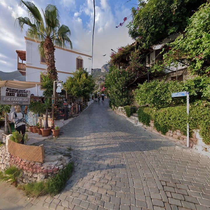 Fotoğraf 14