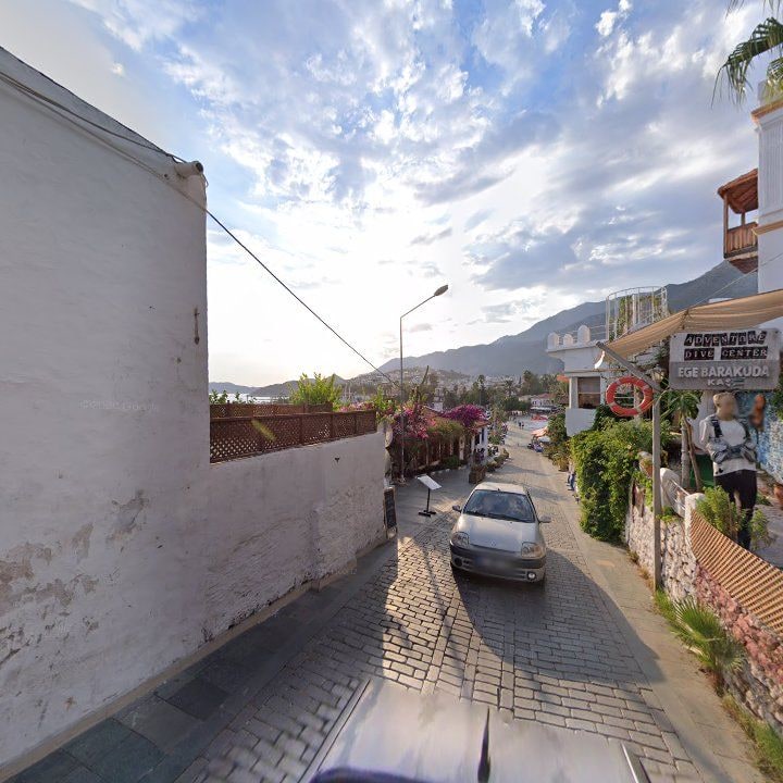 Fotoğraf 13