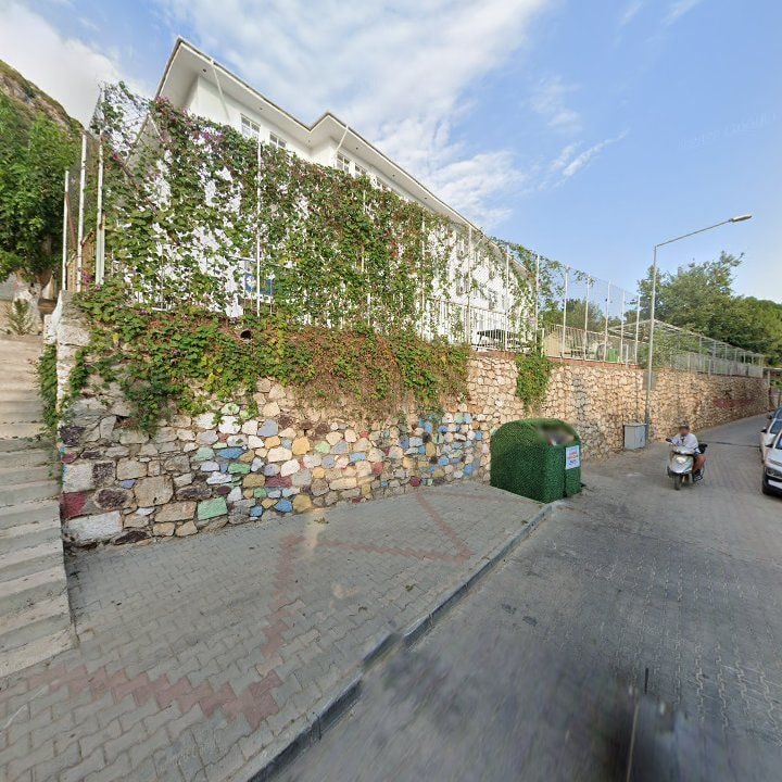 Fotoğraf 11