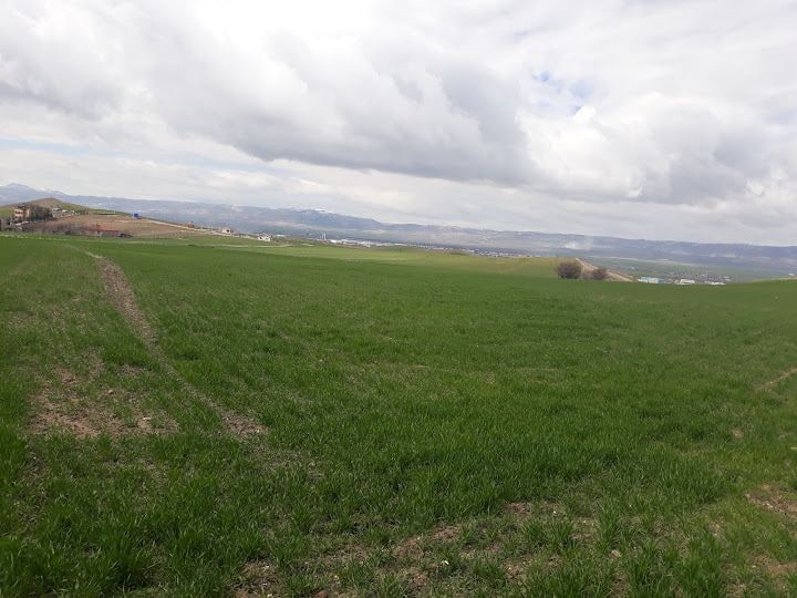 Vurallar Bahçe