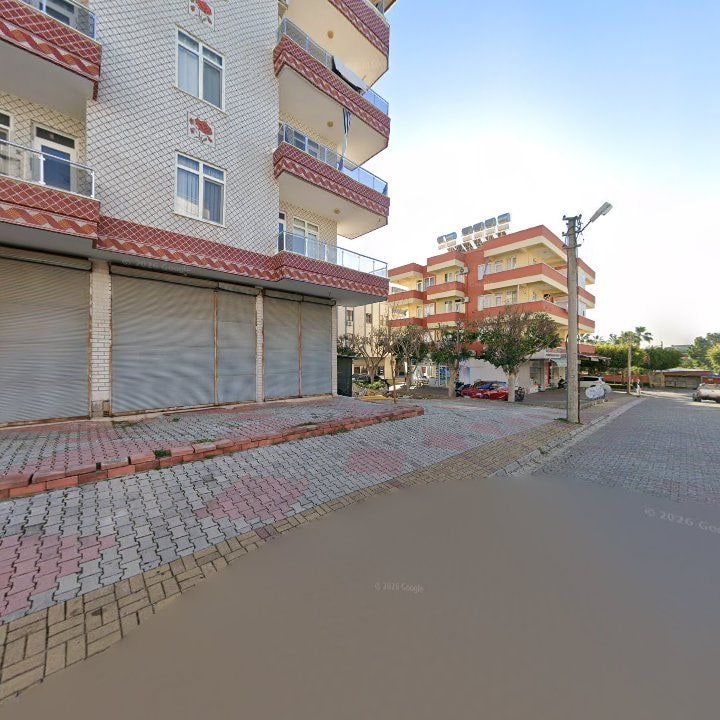 Fotoğraf 11