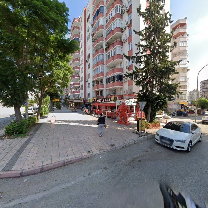 Fotoğraf 10