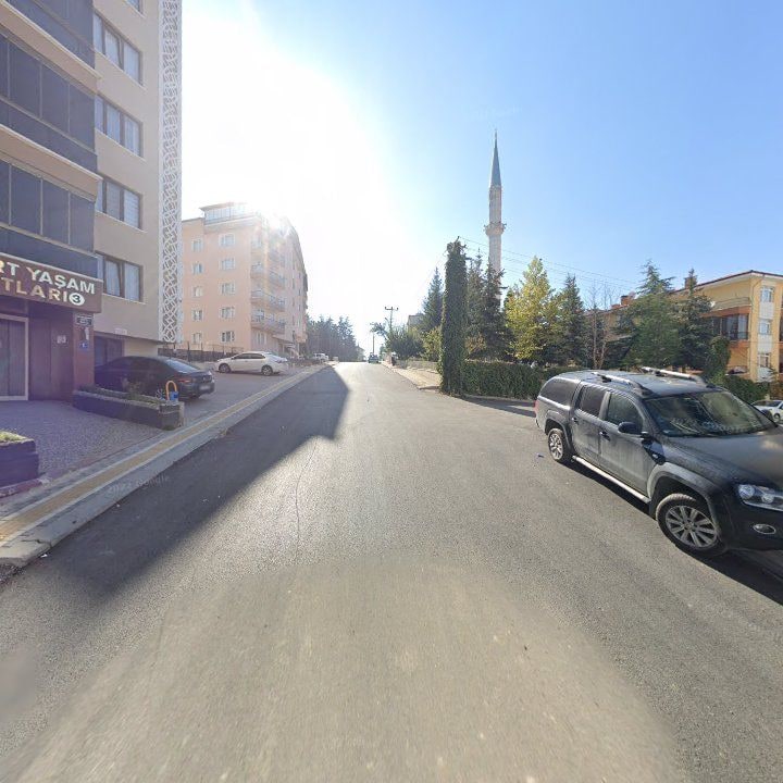 Fotoğraf 8