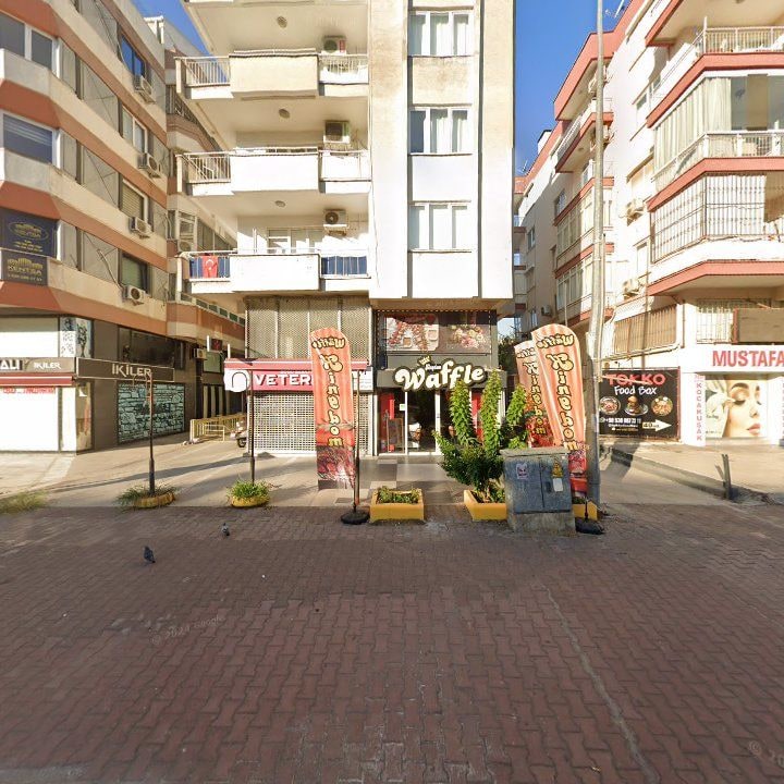 Fotoğraf 7