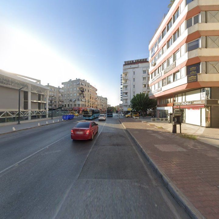 Fotoğraf 10