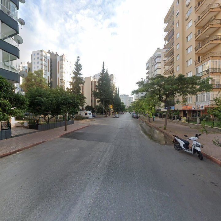 Fotoğraf 10