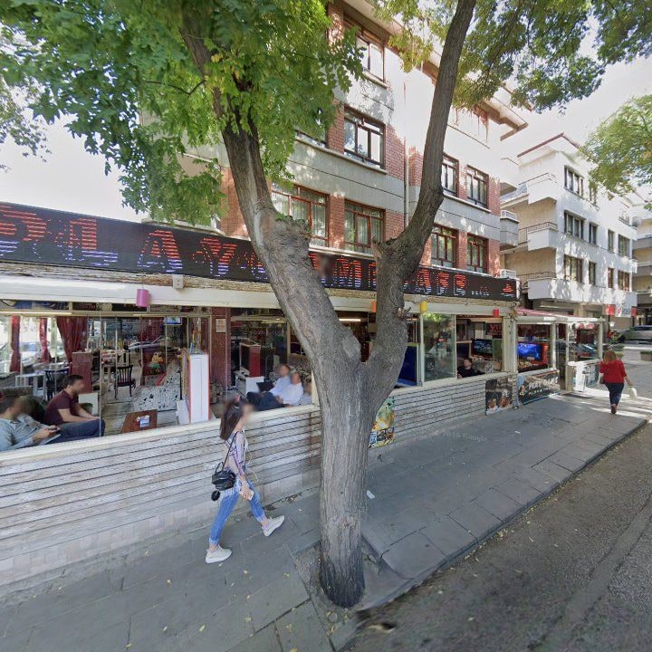 Fotoğraf 9