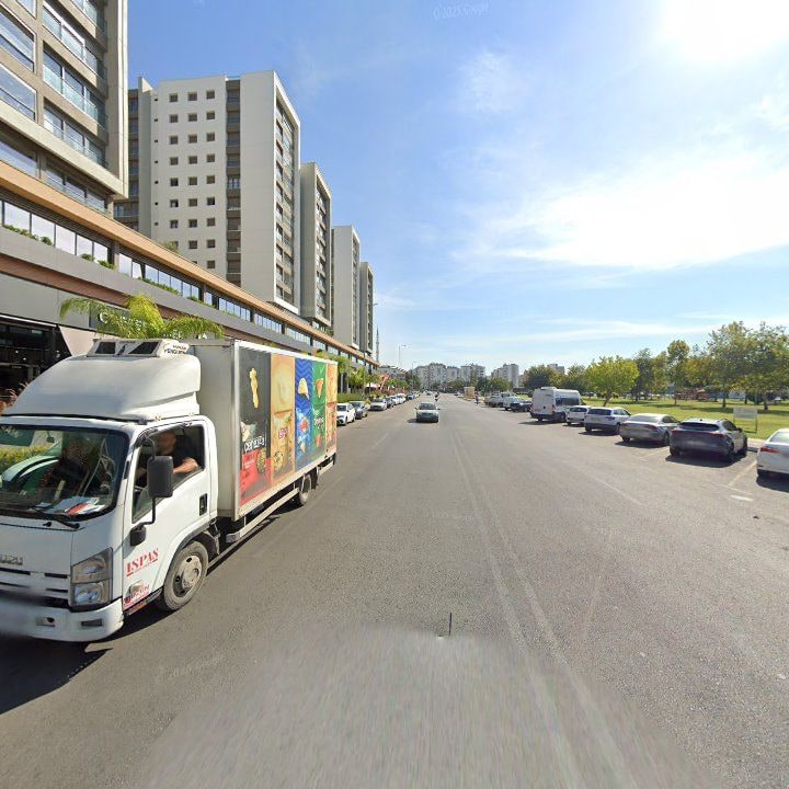 Fotoğraf 12