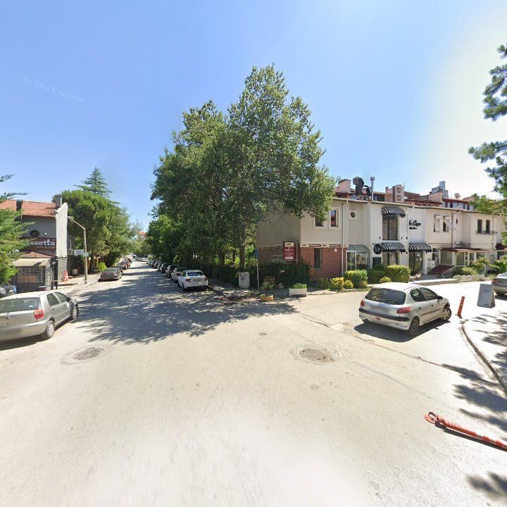 Fotoğraf 14