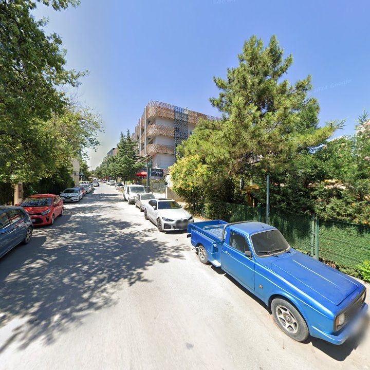Fotoğraf 12