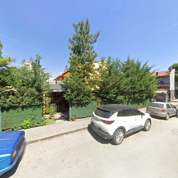 Fotoğraf 13